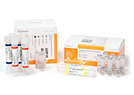 TruSeq Exome Enrichment Kit