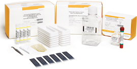 Illumina MouseWG-6 v2.0 Expression BeadChip Kits