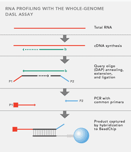 Illumina Whole-Genome DASL Assay Kits