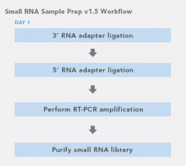 Illumina Small RNA Sample Prep Kit