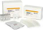 Small RNA Sample Prep Kit