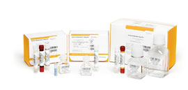 Goldengate Methylation Assay and Beadchip Kit