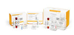 Goldengate Methylation Assay and Beadchip Kit