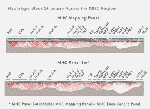 MHC Mapping Panel
