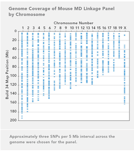 Illumina Mouse MD Linkage