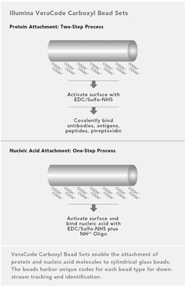 Illumina VeraCode Carboxyl Bead Sets