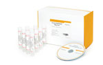 Custom Oligo Pool for Methylation Assay (OMA)