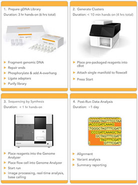 Illumina sequencing system workflow