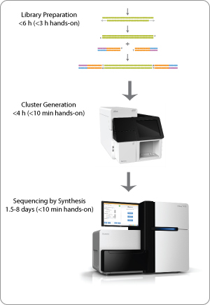 Illumina sequencing system workflow