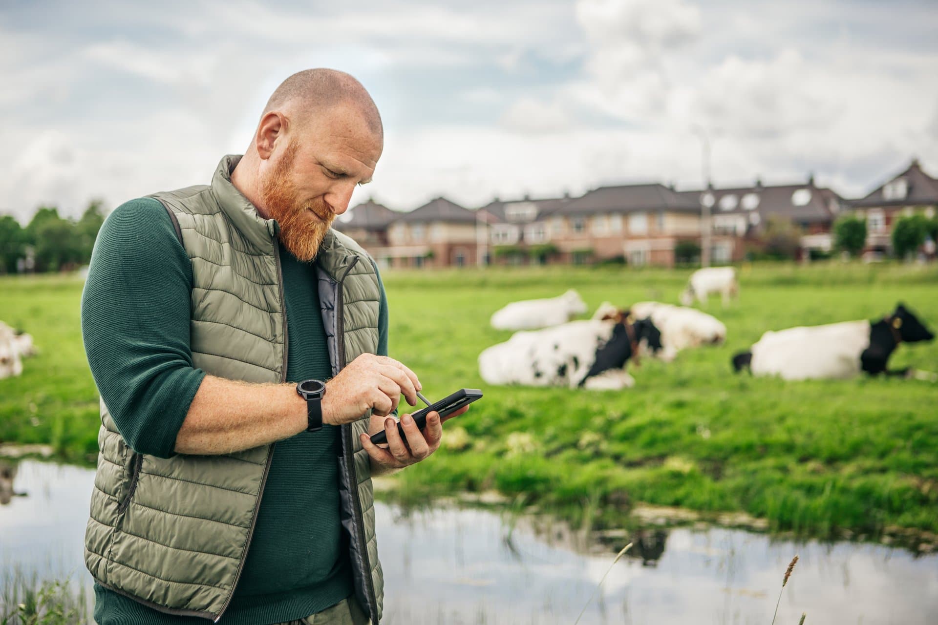 A male researcher holding a digital tablet, taking notes near a river; a farmland with buildings and cows testing on a grassy open area, blurry in the background.