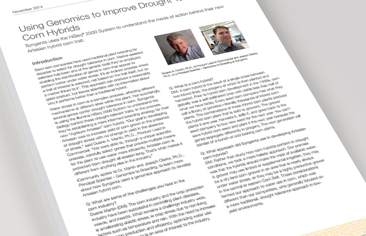 Improving Drought Tolerance in Corn