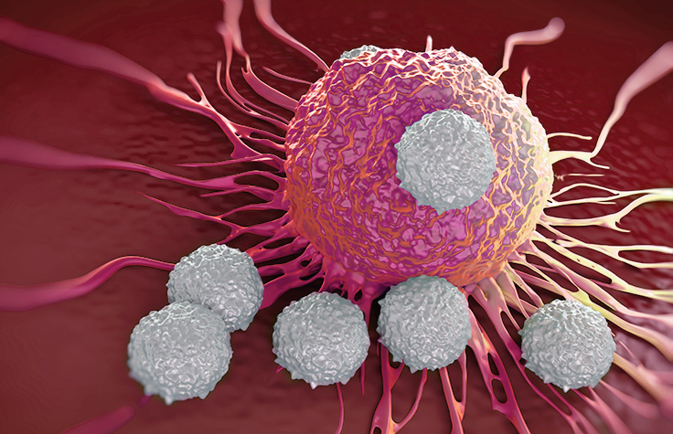 免疫疗法中的癌细胞和T细胞