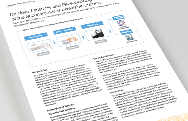 Assembly of the Saccharomyces cerevisiae Genome