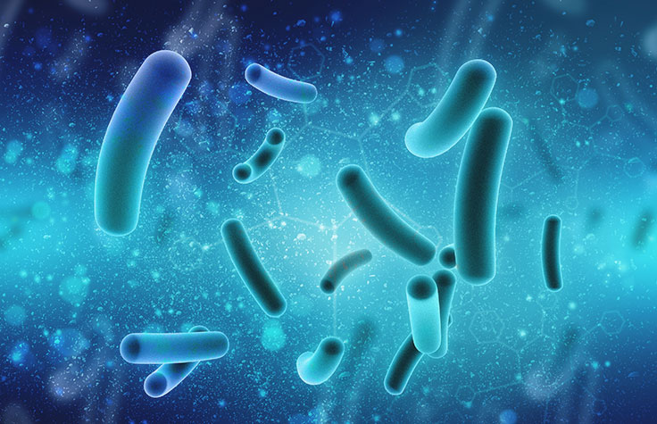 host-pathogen gene expression