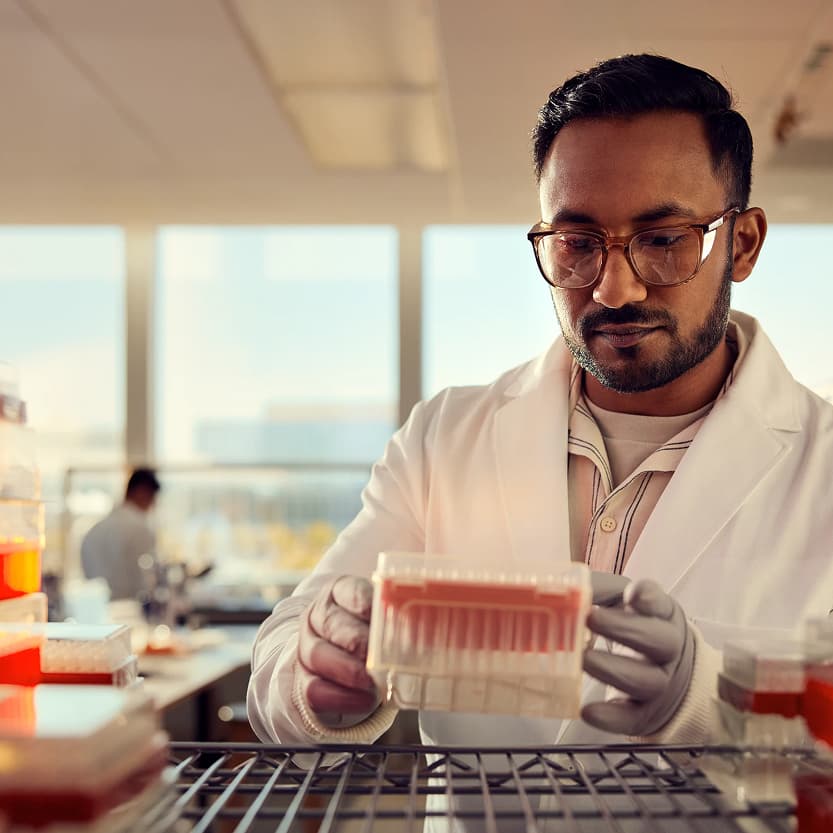 Male scientist, front view, placing plate on rack in wet lab, one other scientist blurry in background