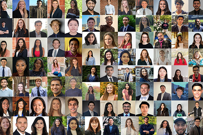 Illumina Interns