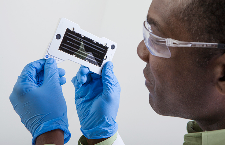 Scientist Viewing a Sequencing Flow Cell