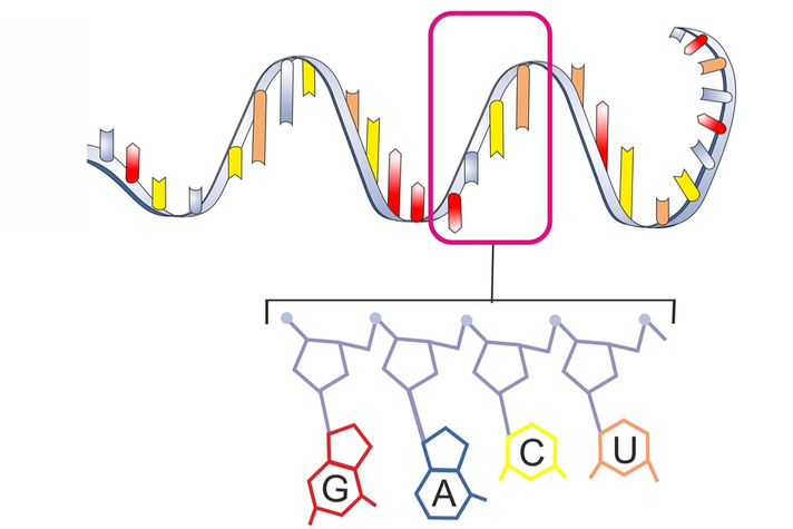 A Tale of Two RNA Library Prep Kits