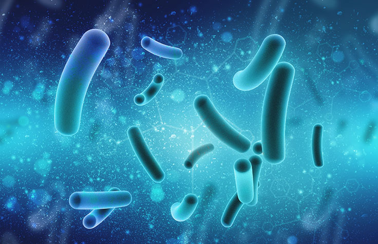 The Time is Now for Microbiome Studies