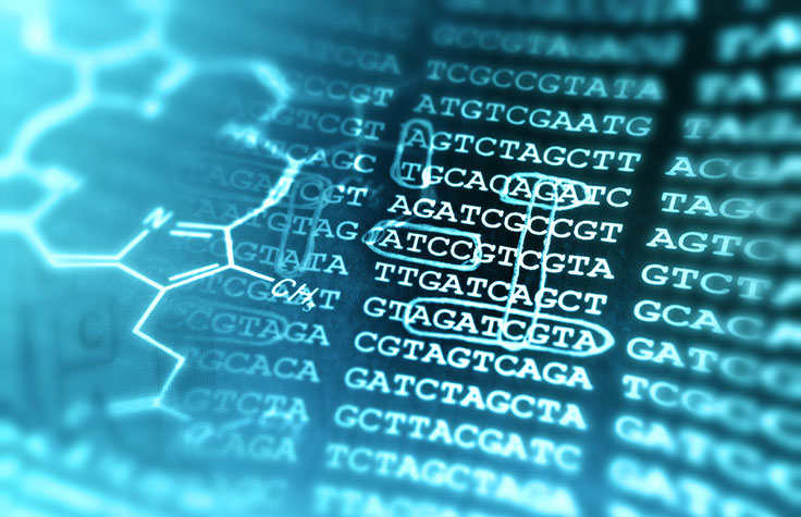 为研究人员提供遗传数据匹配服务