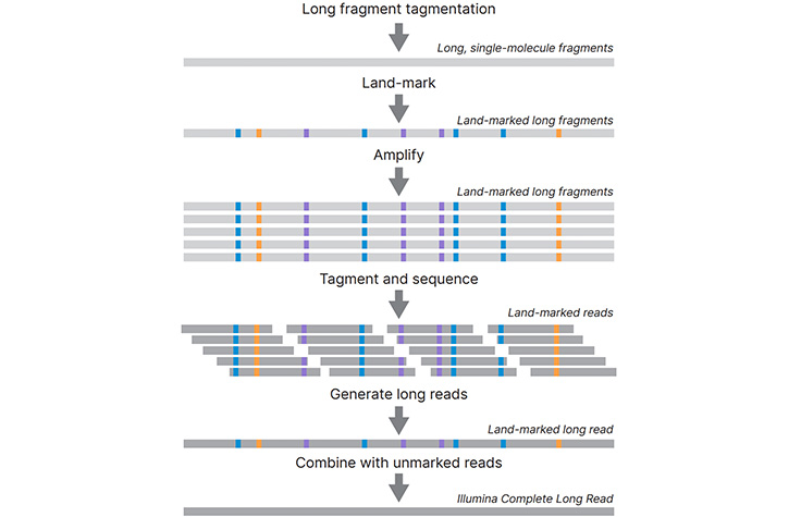 Introducing Illumina Complete Long Read sequencing technology
