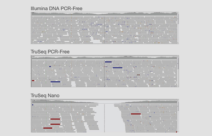 Illumina DNA PCR-Free coverage uniformity