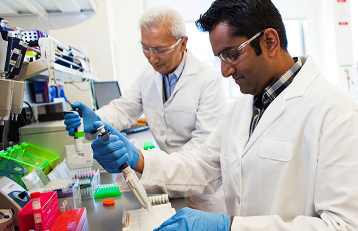 IVD Instruments Tailored for Clinical Labs