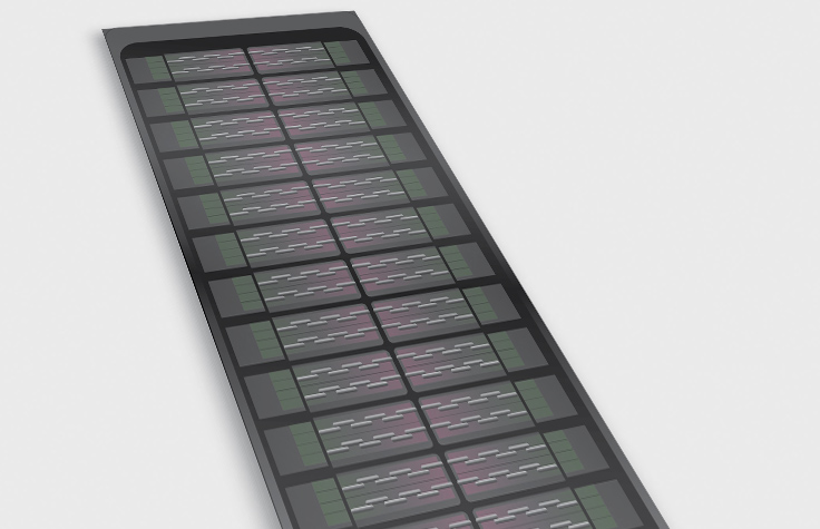 Infinium Global Screening Array