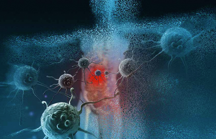 微生物与宏基因组学研究综述