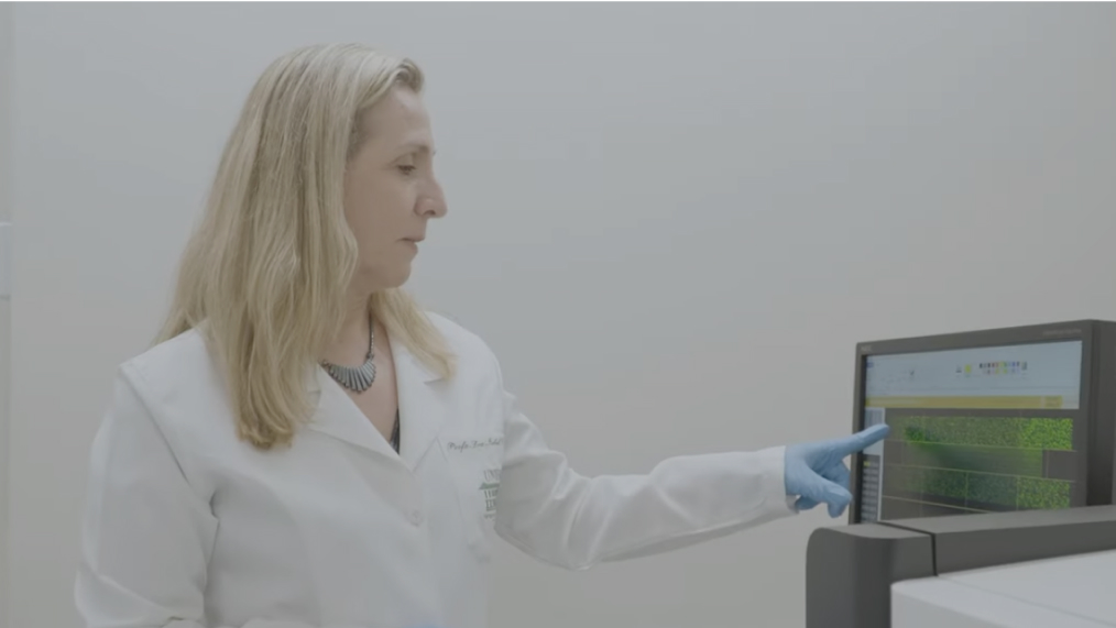 YouTube video of research grant winner