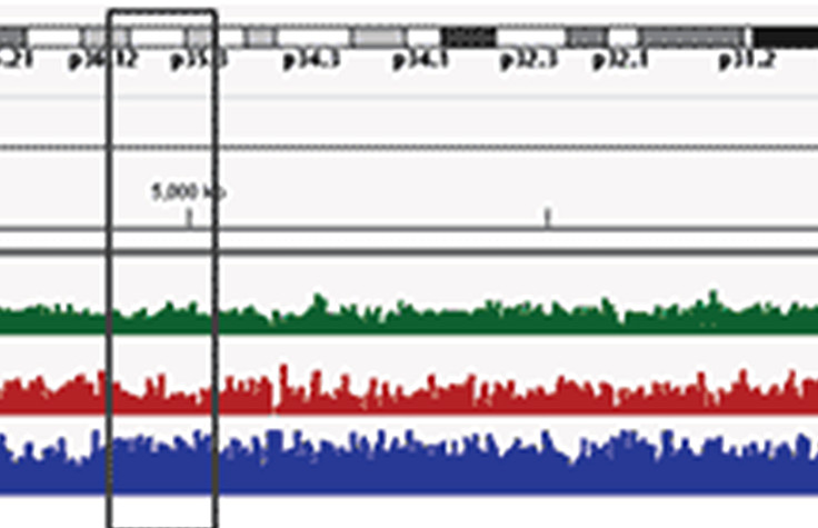 DNA Methylation Analysis