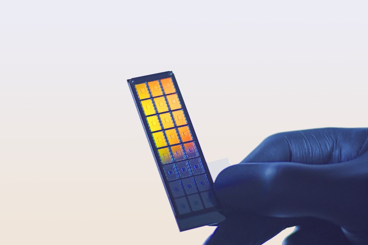 Scientist holding beadchip