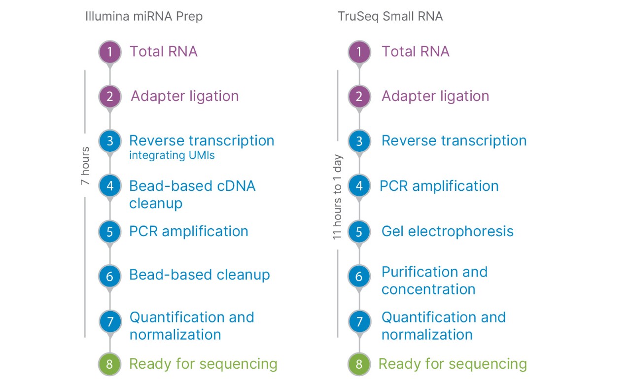 Illumina miRNA Prep and TruSeq Small RNA workflow comparison 